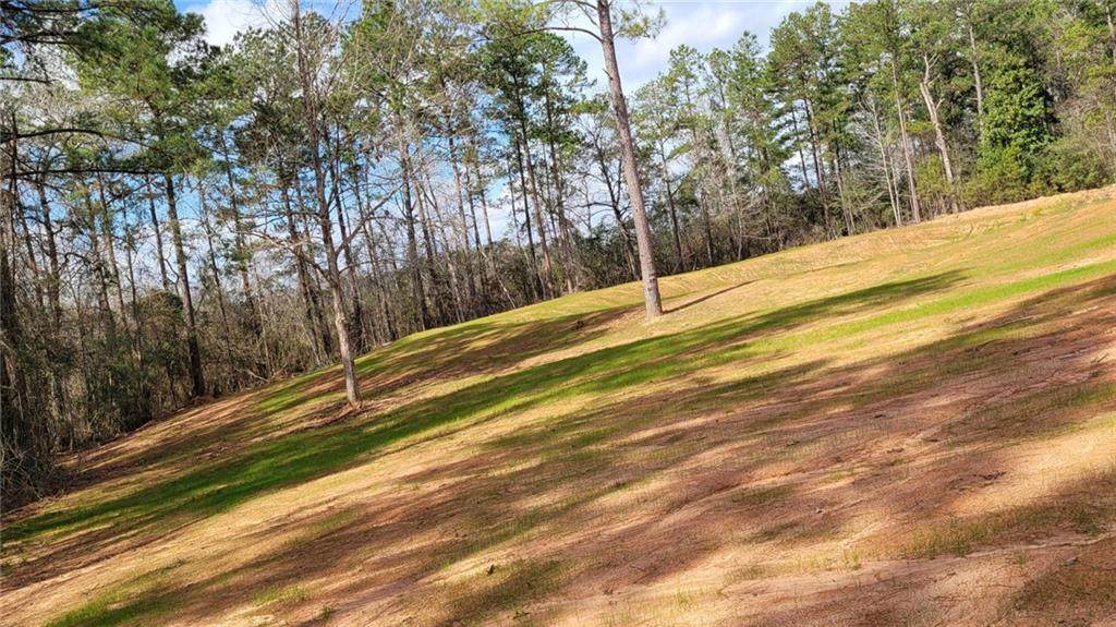 62345 & 62377 Pine Meadow Road - Photo 1