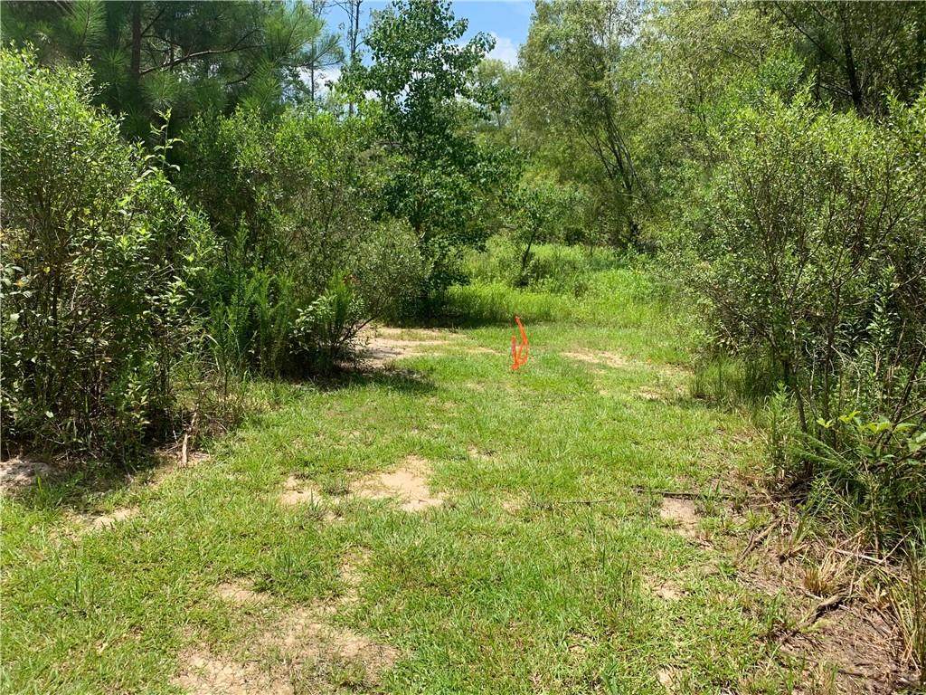 36153 Walker Road - Photo 1