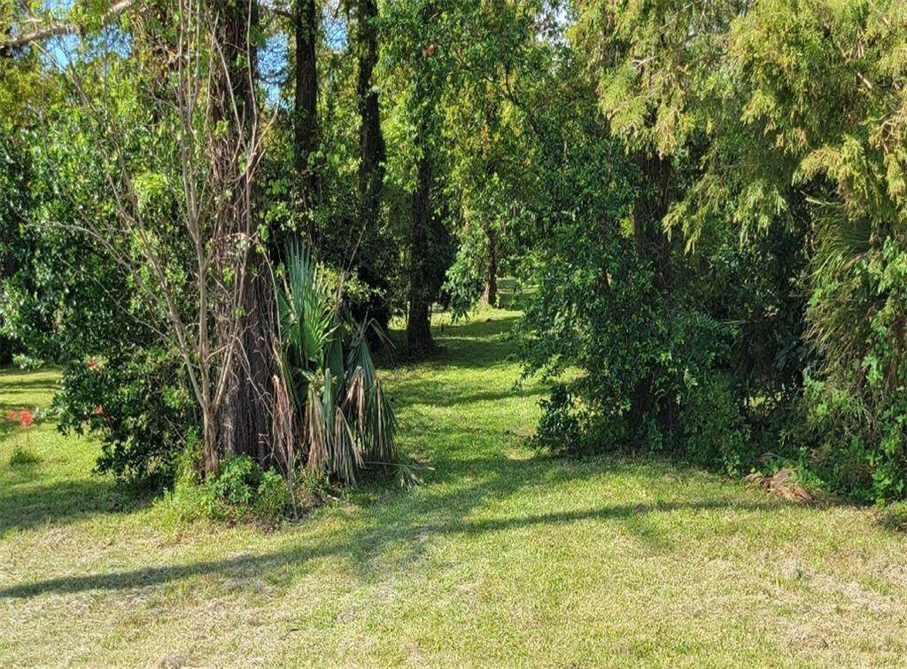 11033 Chef Menteur Highway - Photo 1