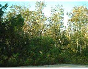 Atkins Drive - Photo 1