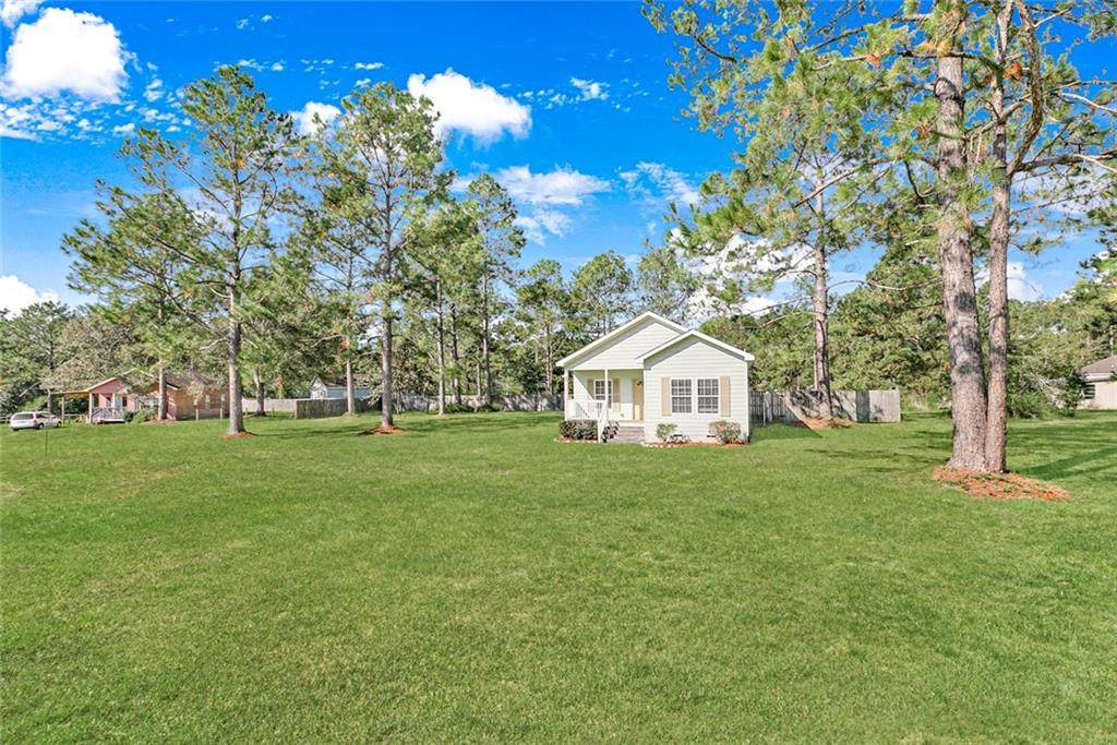 42976 River Birch Lane - Photo 1