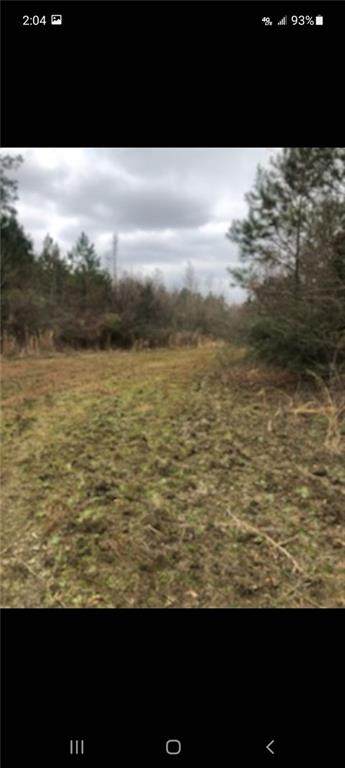 69003 Charles Mcdaniel Road - Photo 1