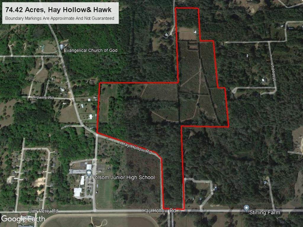 74 Acres Hay Hollow Road - Photo 1