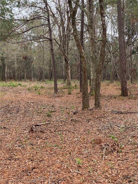 000 Shady Pine Road - Photo 1