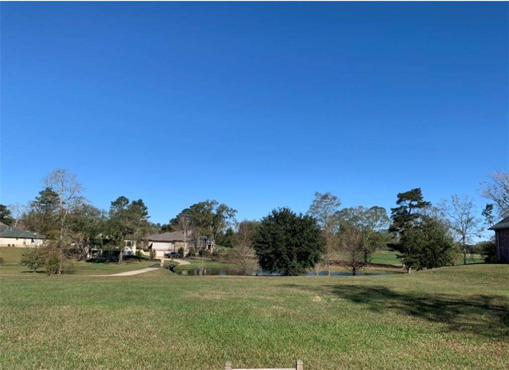 208 Bald Eagle Drive - Photo 1