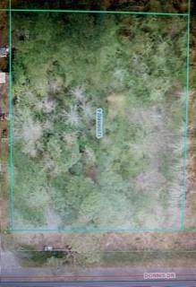 36325 Donnis Drive - Photo 1
