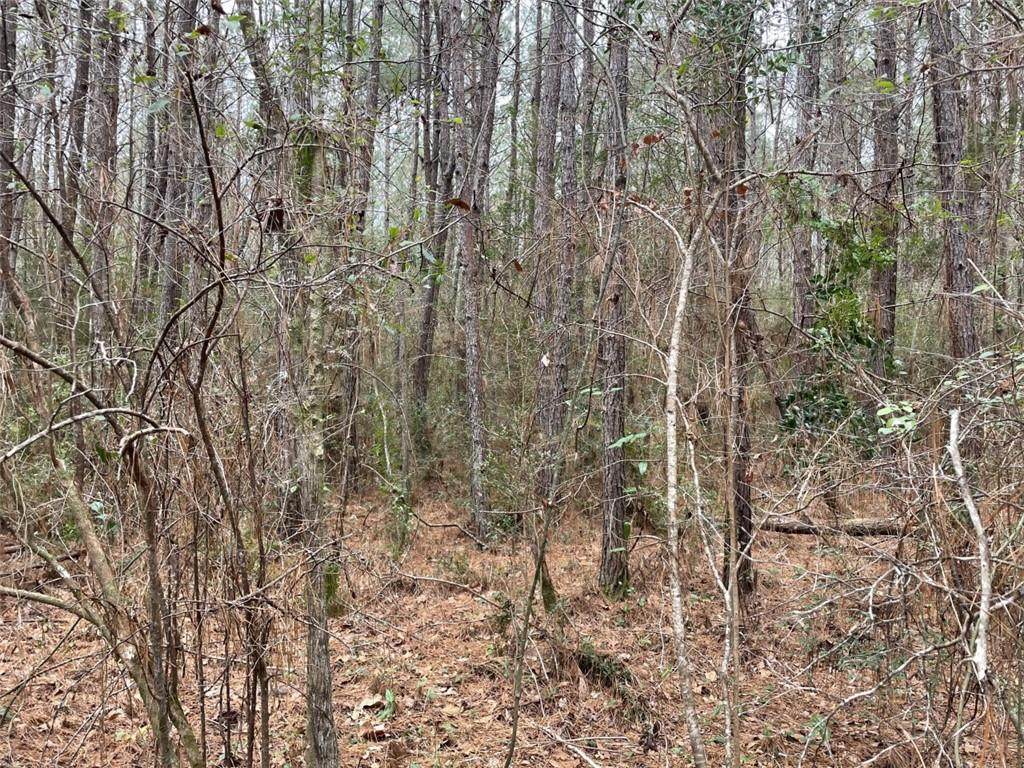 Bruhl Road - Photo 1