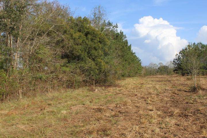 TBD Curtis Willie Road - Photo 1