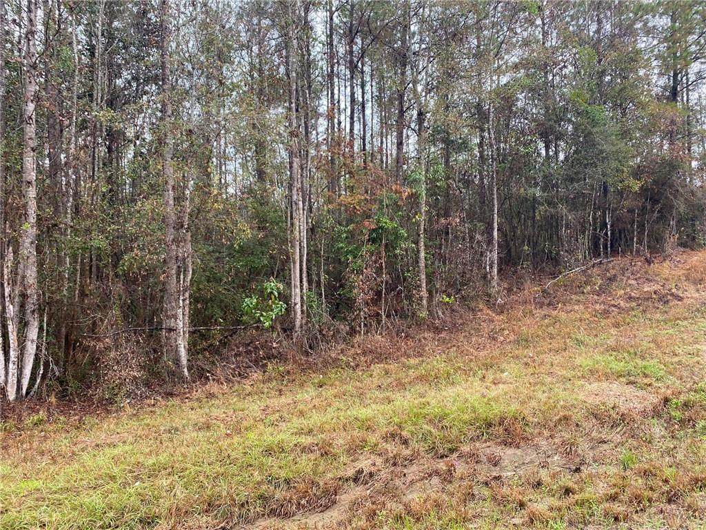 +/- 48.69 Rogers Rd & La 436 Road - Photo 1