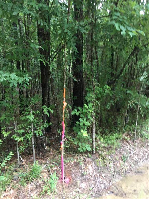 Gunboat Island Road - Photo 1