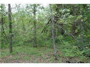 Lot 9 Oak River Place - Photo 1