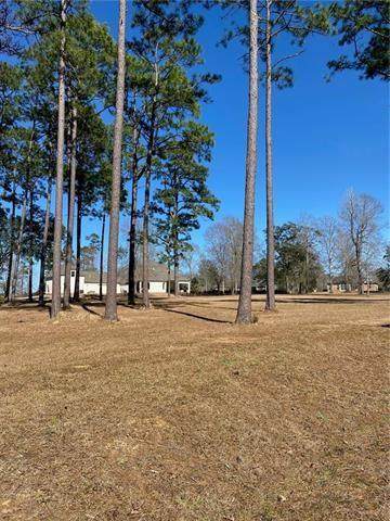 Lot 420 Hidden Lake Loop Loop - Photo 1