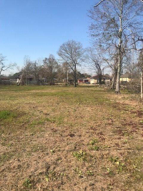 1173901 Saux Lane - Photo 1