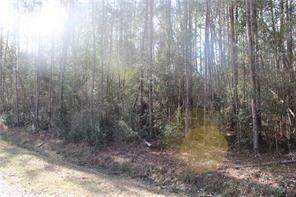 Chapman Drive - Photo 1
