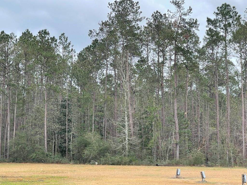 Pine Lakes Estates Street - Photo 1