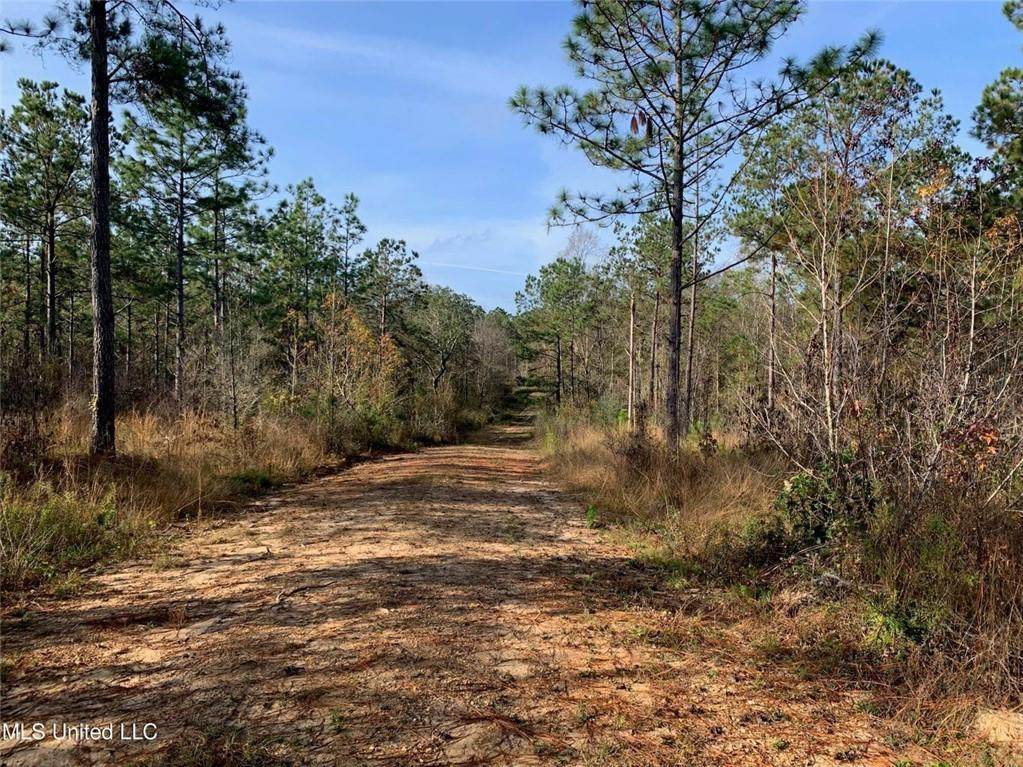 0 Oscar Smith Road - Photo 1