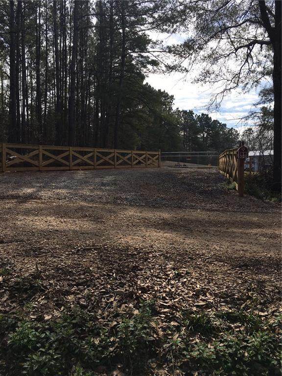 39028 Allen Morris Road - Photo 1