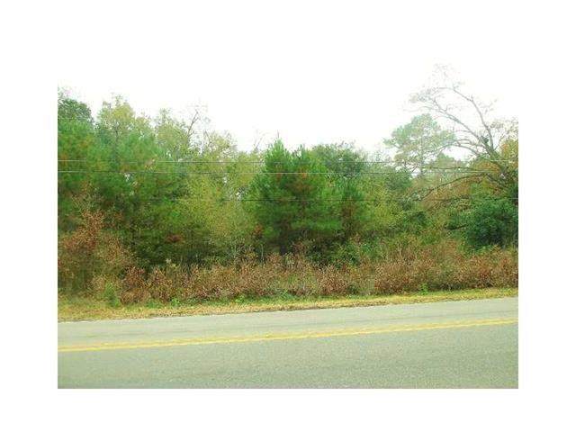 Lot 2A Hwy 40 Highway - Photo 1