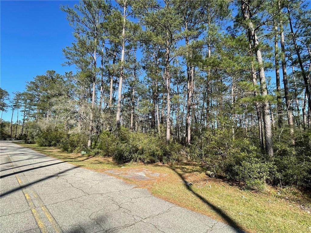59296 Pine Bay Lane - Photo 1