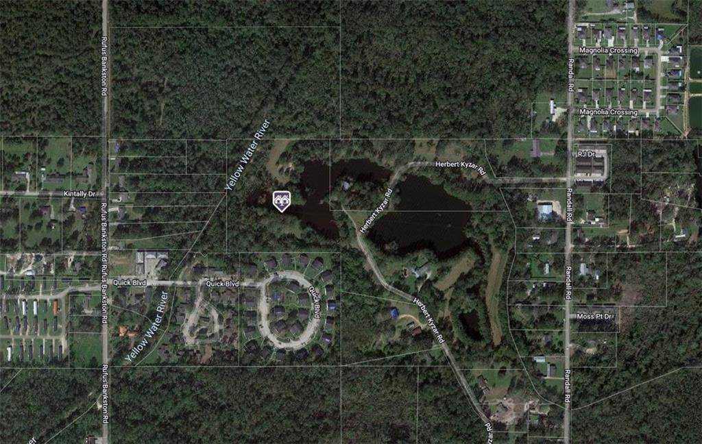 46195 Herbert Kyzar Road - Photo 1