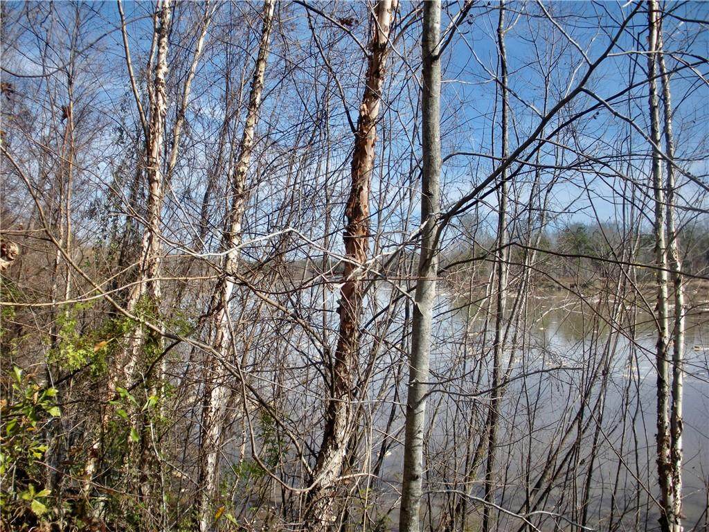Lots 82-84 Cushion Lake Road - Photo 1