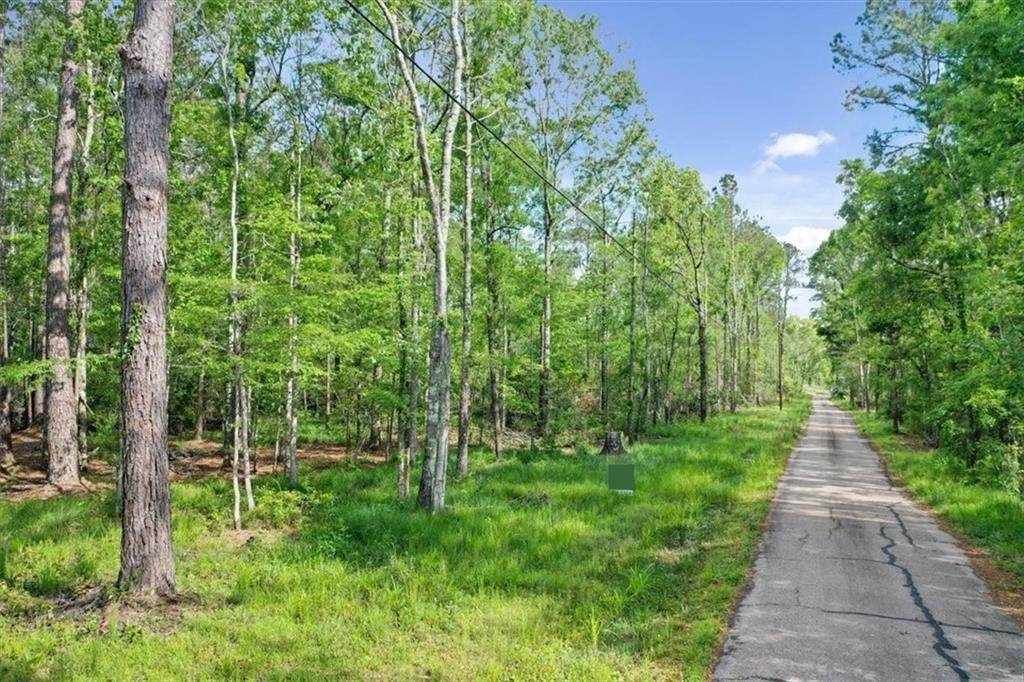 Lot C-2 Abernathy Road - Photo 1