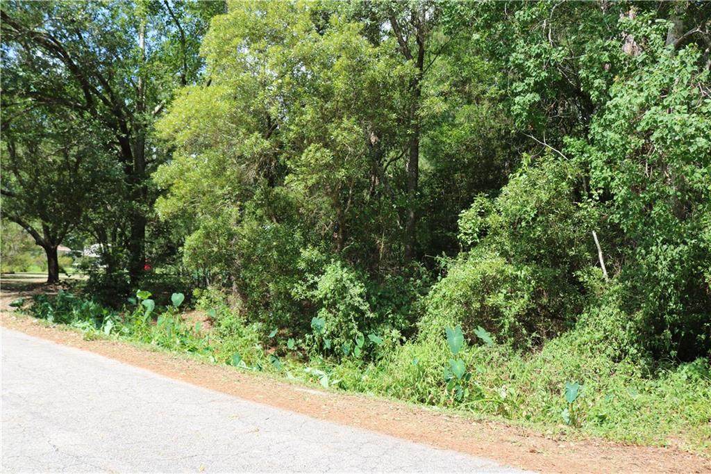 000 Nina Drive - Photo 1