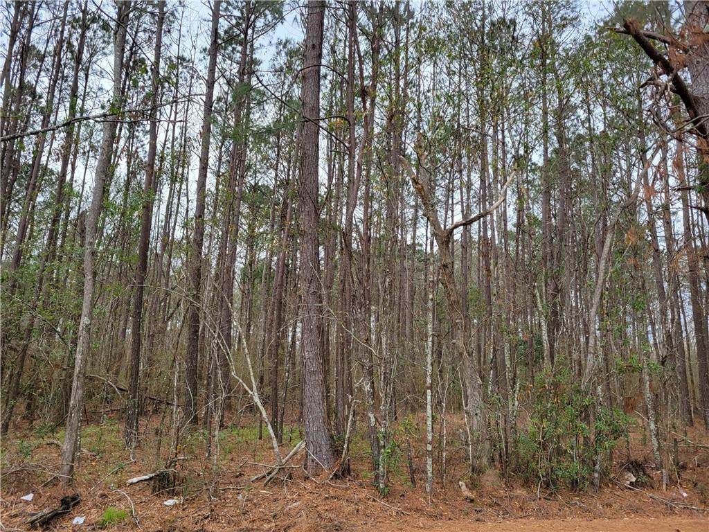 3.738 ACRES Cypress Street - Photo 1