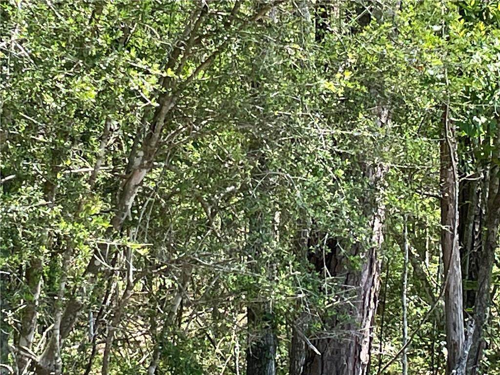 Hwy 190 Boulevard - Photo 1