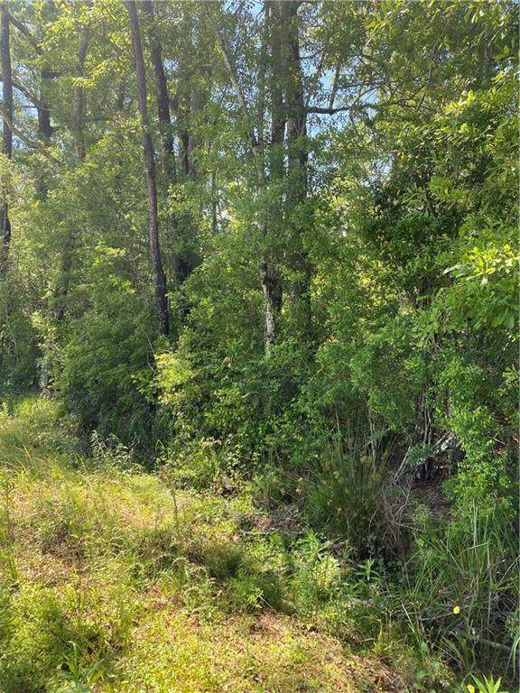 Faller Road - Photo 1