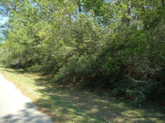 Ned Avenue - Photo 1