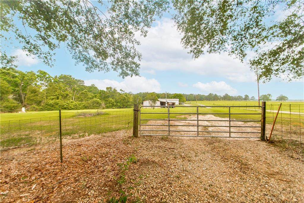 21125 Hwy 1061 - Photo 1