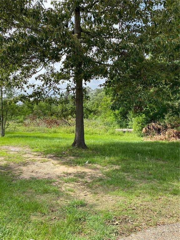 Hardy Drive - Photo 1