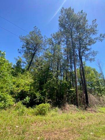 00 Torrence Road - Photo 1
