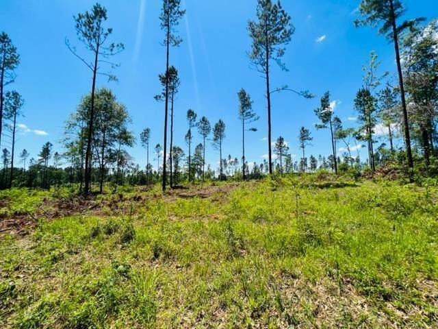 31214 J S King Road - Photo 1