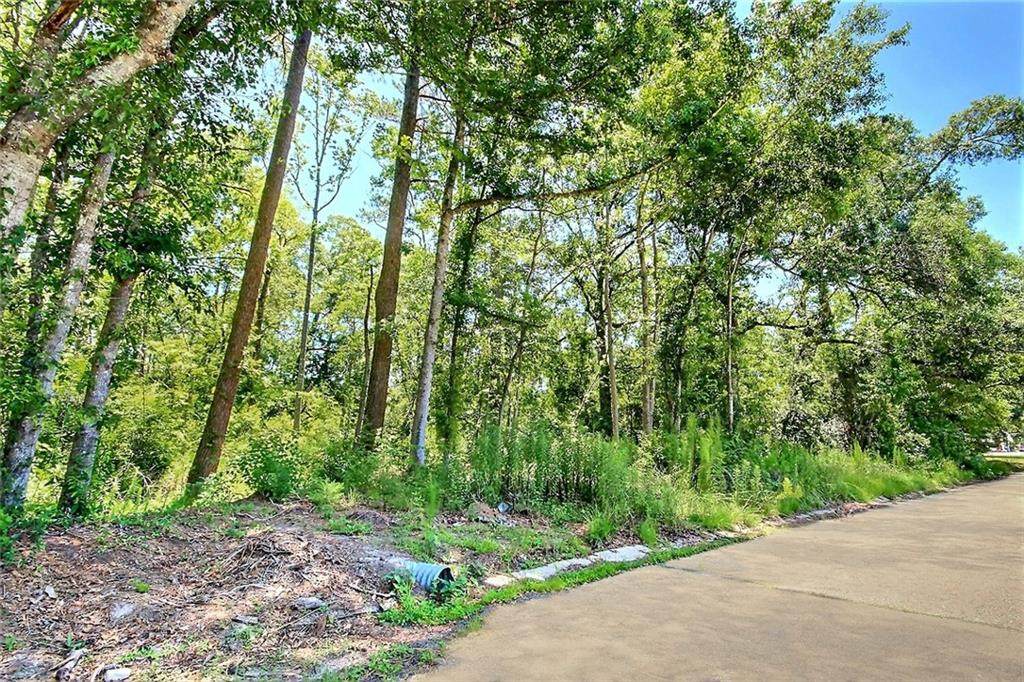 Lot 1 Beckie Drive - Photo 1