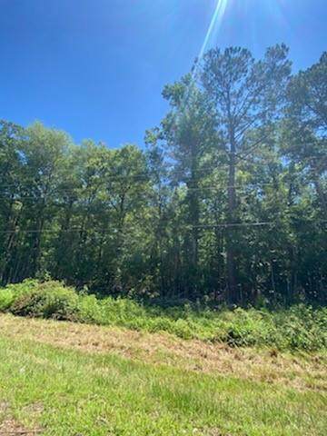 00 Highway 25 - Photo 1