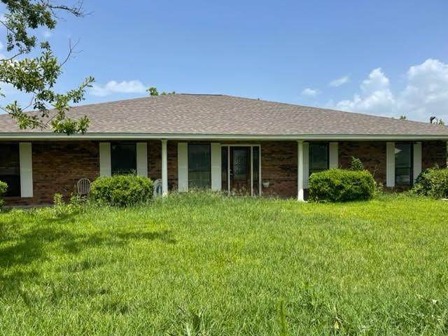 164 Iber Street - Photo 1
