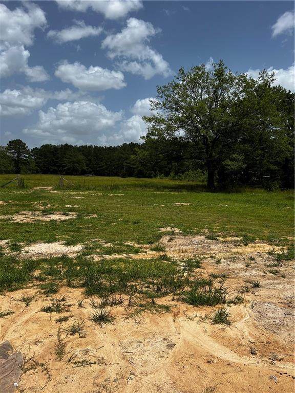 48088 Highway 445 Highway - Photo 1