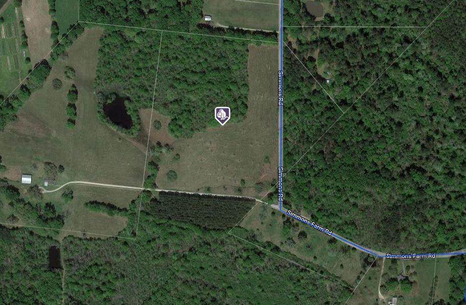 Tract D Simmons Road - Photo 1