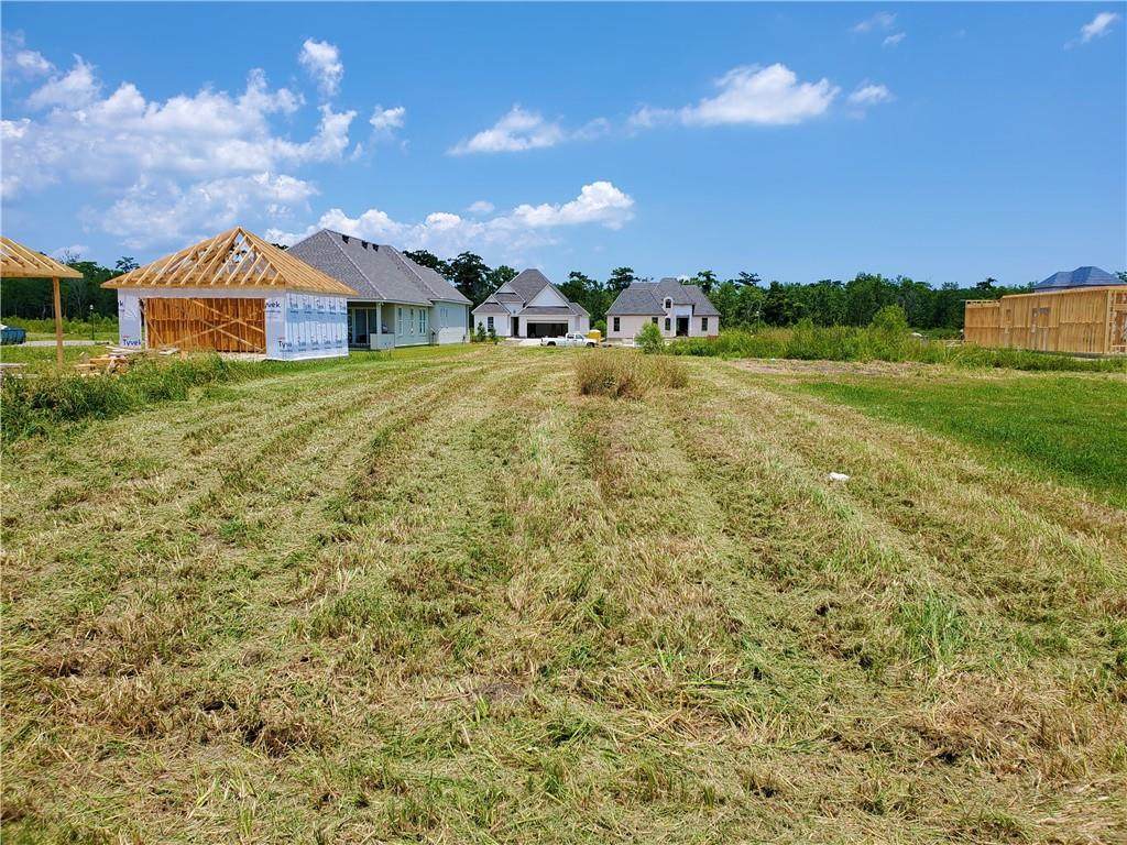 141 Wood Duck Drive - Photo 1