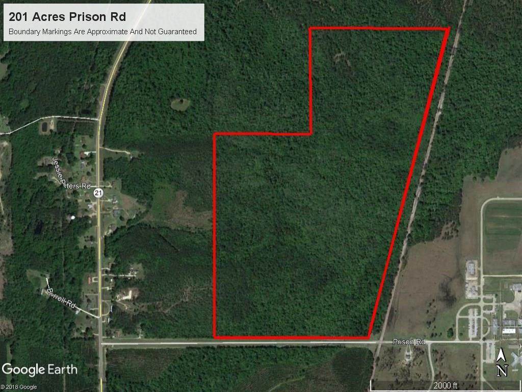 202 Acres Prison Road - Photo 1