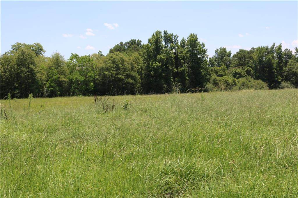 Lot 16 Zack Magee Road - Photo 1