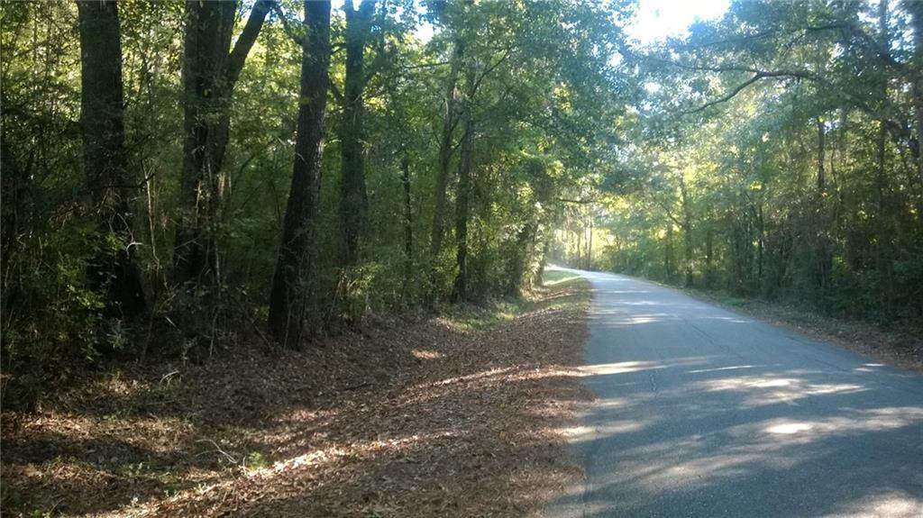 39417 Bunker Hill Road - Photo 1