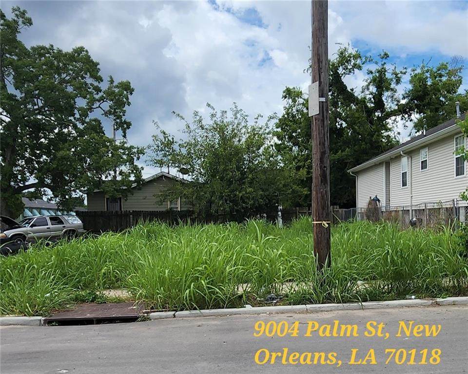 9004 Palm Street - Photo 1