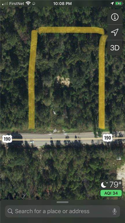 00000 Hwy 190 Highway - Photo 1