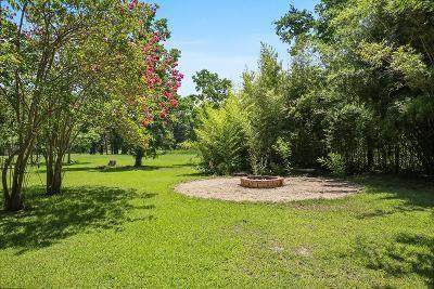 Lucille Drive - Photo 1