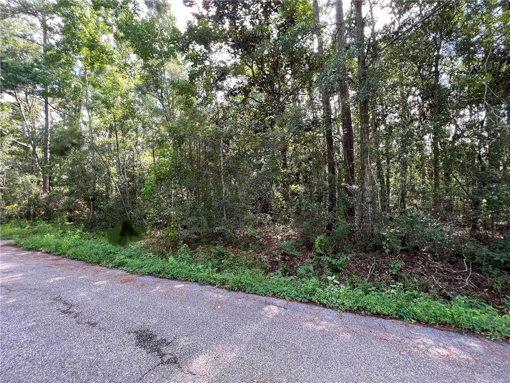 58338 Richard Road - Photo 1