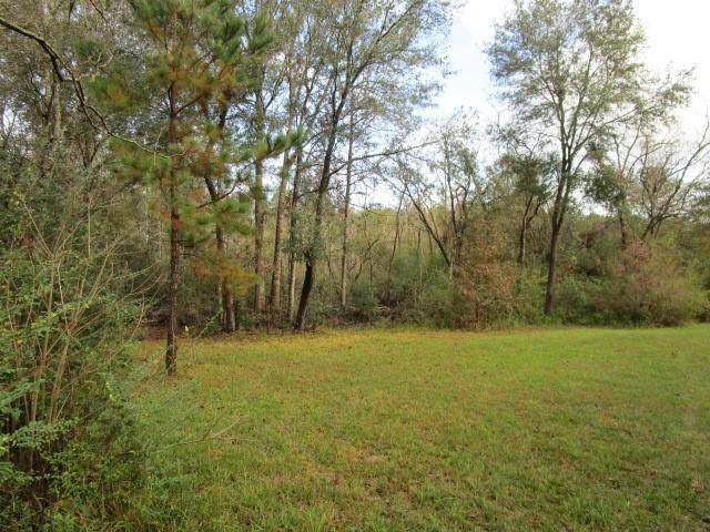 Lots 13 & 14 Beauregard Avenue - Photo 1