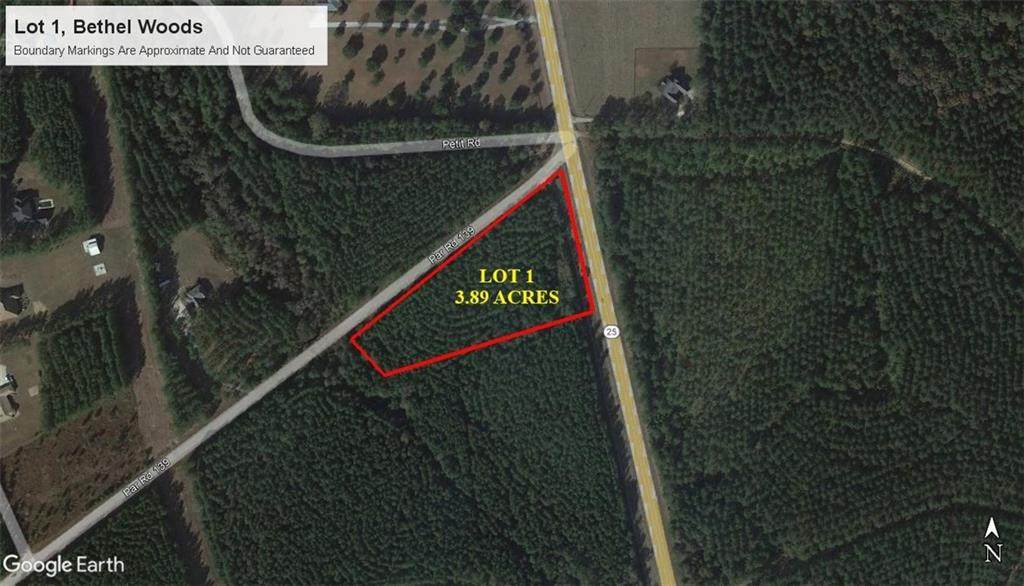 Lot 1 Bethel Road - Photo 1